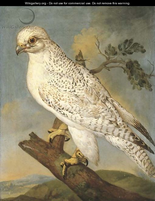 A falcon on a branch - Ferdinand Phillip de Hamilton