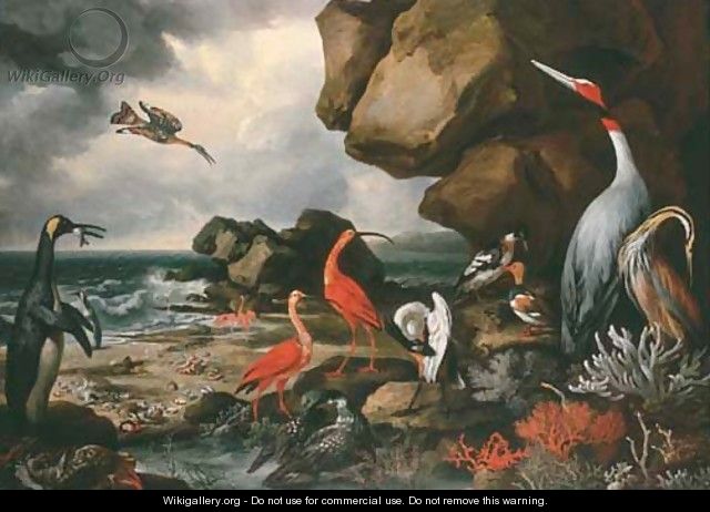 A penguin, a pair of flamingoes and other exotic birds, shells and coral on the shoreline - Philip Reinagle