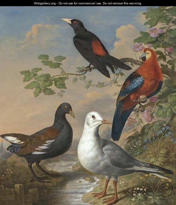A Moorhen, A Gull, A Scarlet Macaw And Red-Rumped A Cacique By A Stream In A Landscape - Philip Reinagle