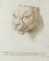 Head of a panther, after the Antique - Pier Leone Ghezzi