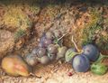 Still life with Grapes, Plums and a Pear on a mossy Bank - Philip Dolan