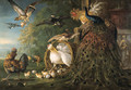 A peacock, a cockerel, a hen with her chicks, a kestrel - Peter Casteels III