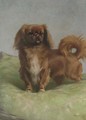 A Pekingese 2 - Percival Leonard Rosseau