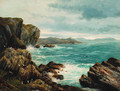 Seagulls in a rocky coastal landscape - Peter Graham