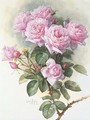 Roses and Bumblebees - Paul De Longpre