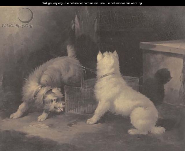 Terriers by a rat trap - Paul Jones