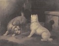 Terriers by a rat trap - Paul Jones