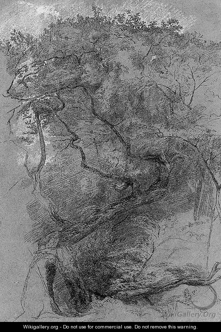 Study of tree hit by lightning, in a forest - Paul Huet