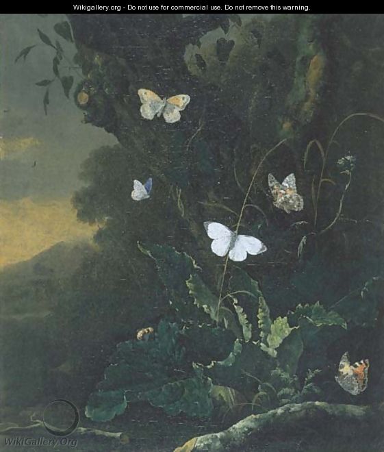 A forest floor still life with a Small Tortoiseshell (aglais urticae), a male Large White (pieris brassicae), a Painted Lady (vanessa cardui) - Otto Marseus Van Schrieck
