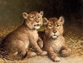 The little lions - Otto Eerelman