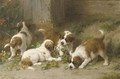Saint Bernard puppies playing with Indian cress - Otto Eerelman