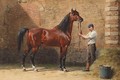 Portrait of an Arab horse - Otto Eerelman