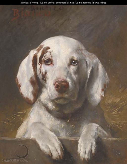 Bianco, a hound at a kennel door - Otto Eerelman