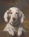Bianco, a hound at a kennel door - Otto Eerelman