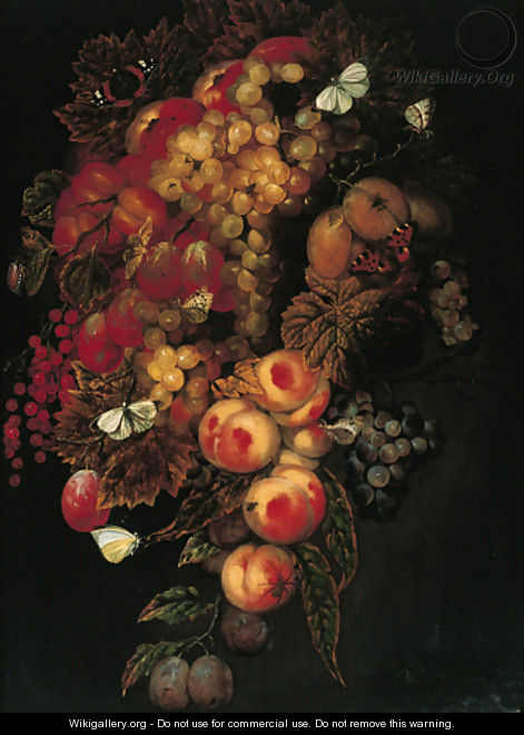 A swag of grapes, prunes, peaches, pomegranates with butterflies and a beetle - Ottmar The Elder Elliger