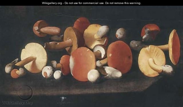Boletus, russulas and other mushrooms on a ledge - Paolo Porpora