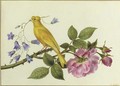 A canary perched on a the branch of a pink rose, carrying harebells in its beak - Pancrace Bessa