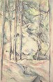 Sous-bois - Paul Cezanne