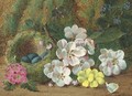 Apple blossom, primroses and a bird