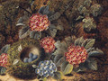 Primulas And A Bird'S Nest With Eggs, On A Mossy Bank 2 - Oliver Clare