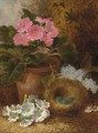 Primulas and a bird's nest with eggs, on a mossy bank - Oliver Clare