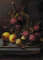 Plums and apples on a ledge - Oliver Clare