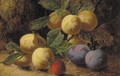 Plums and a strawberry on a mossy bank - Oliver Clare