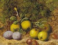 Apples, gooseberries and plums on a mossy bank - Oliver Clare