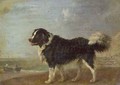 A Newfoundland dog on a seashore - Edmund Bristow