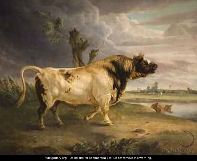 A Bull - Edmund Bristow
