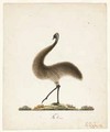 The Emu - Richard Browne