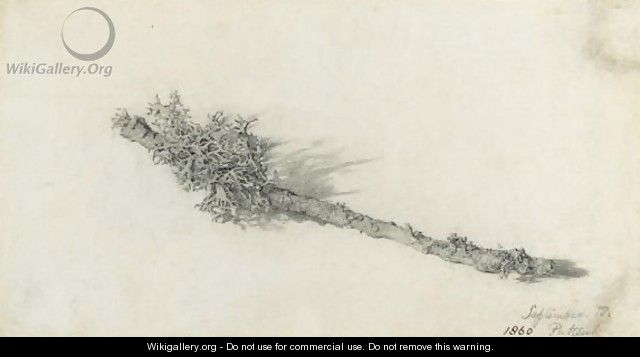 Study Of A Branch - Sir William Blake Richmond