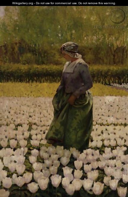 Dutch Girl In Field Of Tulips - George Hitchcock