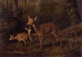 Doe And Two Fawns By A Stream - Arthur Fitzwilliam Tait