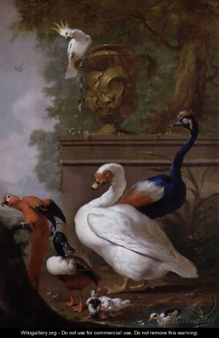 A Muscovy Duck, A Scarlet Macaw, A Sulphur-Crested Cockatoo, A Crowned Crane And A Shoveller With Chicks In A Landscape - Jacobes Vonck