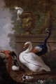 A Muscovy Duck, A Scarlet Macaw, A Sulphur-Crested Cockatoo, A Crowned Crane And A Shoveller With Chicks In A Landscape - Jacobes Vonck