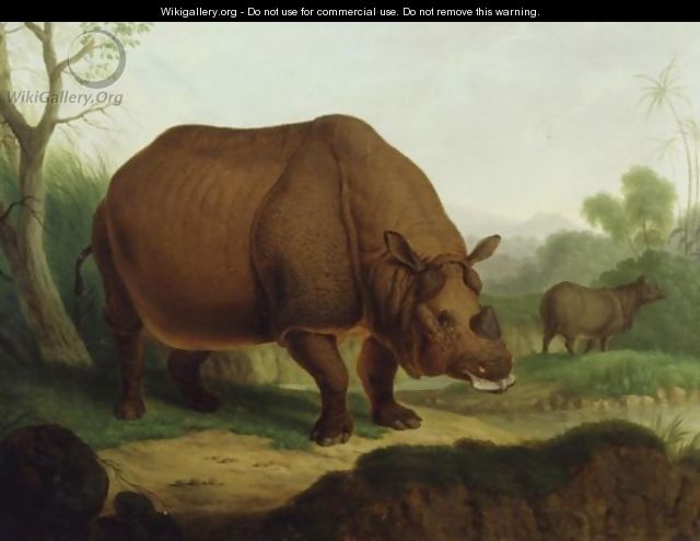 A Rhinoceros - Christian Wilhelm Karl Kehrer