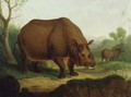 A Rhinoceros - Christian Wilhelm Karl Kehrer