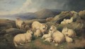 Sheep Resting - (after) John Morris