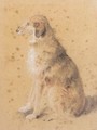 A Dog - Sir Edwin Henry Landseer