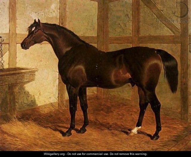 Partisan, A Dark Bay Racehorse In A Stable - John Frederick Herring Snr