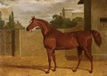 Comus, A Chestnut Racehorse In A Stable Yard - John Frederick Herring Snr