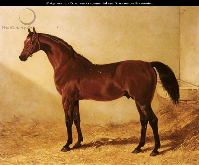Glaucus, A Bay Racehorse In A Stable 2 - John Frederick Herring Snr