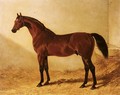 Glaucus, A Bay Racehorse In A Stable 2 - John Frederick Herring Snr