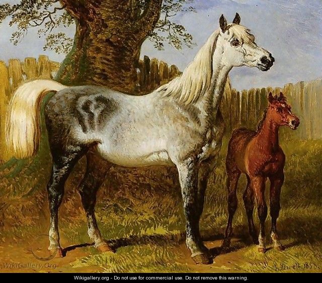 A Grey Mare And Foal - Hugh Newell