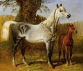 A Grey Mare And Foal - Hugh Newell