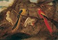 A Scarlet And Blue And Gold Macaw With Sulphur-Crested Cockatoos And Other Birds, In A Landscape - (after) Roelandt Jacobsz Savery