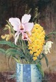 Orchids - William Gale