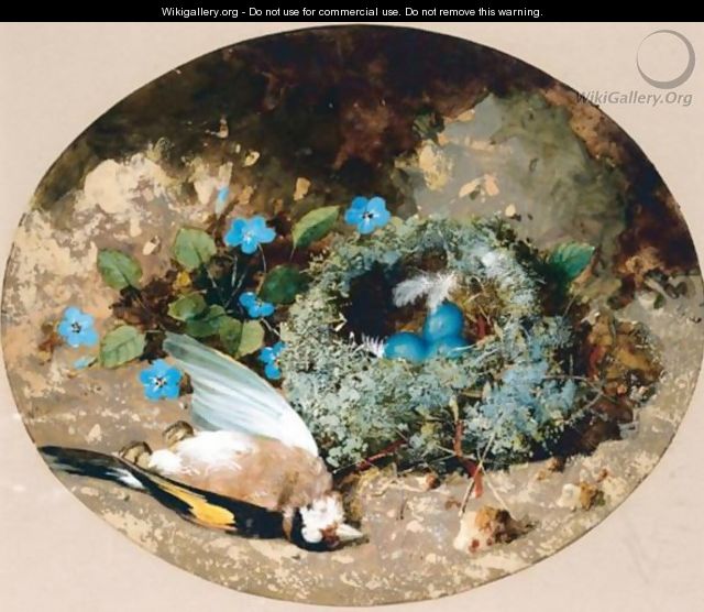 Goldfinch And Nest - William Cruickshank