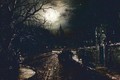 Moonlit Street - Walter Meegan